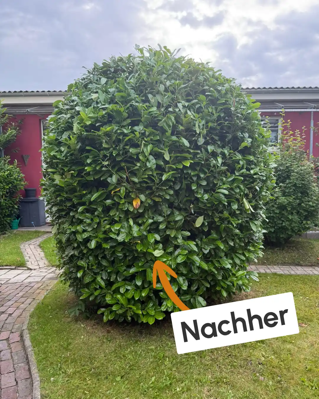 Nachher