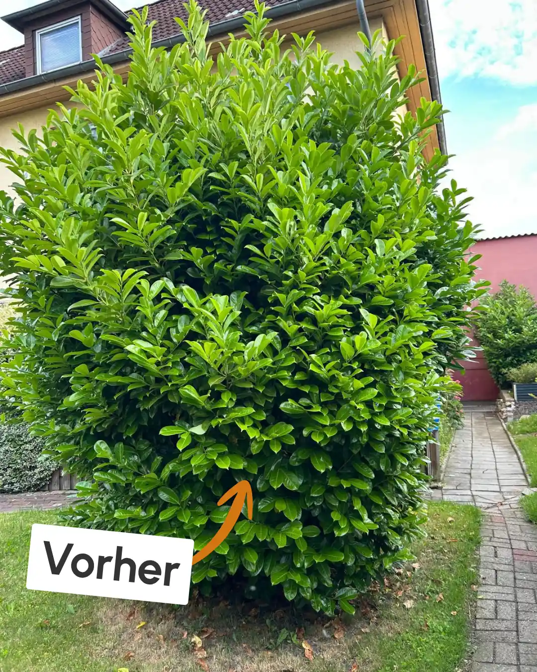 Vorher