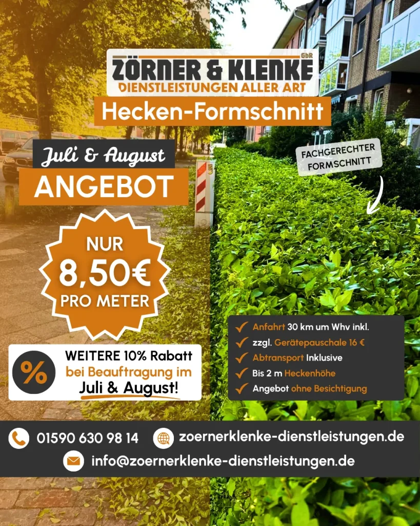 Hecke Formschnitt Rechner